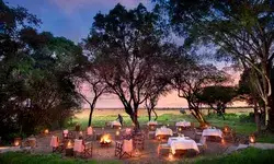 Outdoor dining area under trees with set tables and surrounded by lanterns