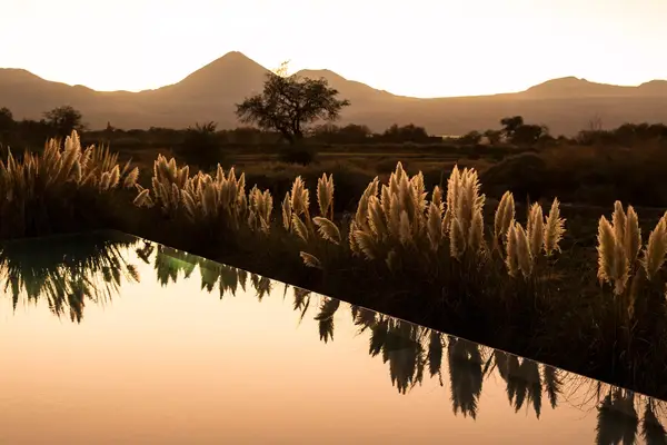 Pool with view of mountains at sunset