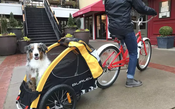 Inn at the 5th Eugene, Oregon dog-friendly