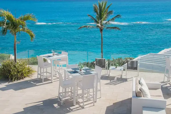 Outdoor patio with tables and chairs overlooking the ocean and palm trees in the background