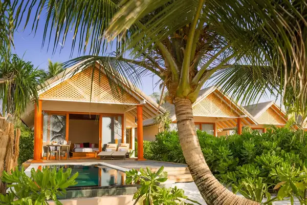 Beach huts with palm trees at Kudafushi Resort and Spa