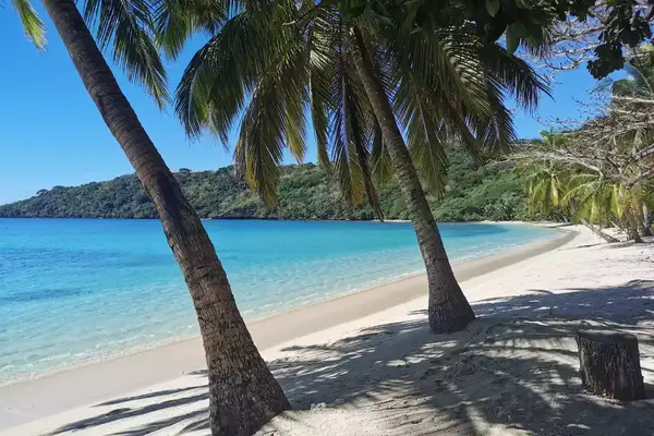Beach under the palm trees at Wakaya Club and Spa in Fiji