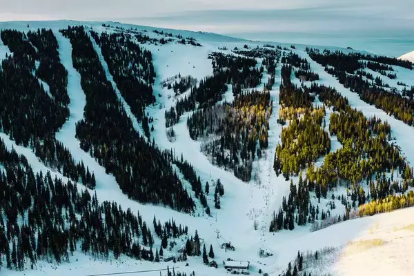 Aerial view of trails at Pomerelle Mountain Resort