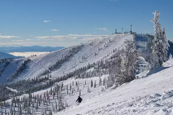 A skier going down a mountain surrounded by trees