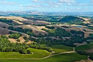 Vineyards and hills of Sonoma County with a glimpse of the San Francisco Bay in the background.