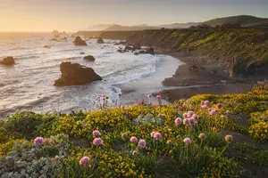 sunset in Sonoma Coast State Park, California