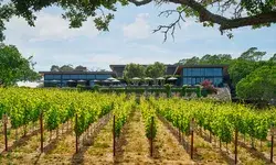 Exterior of Montage Healdsburg