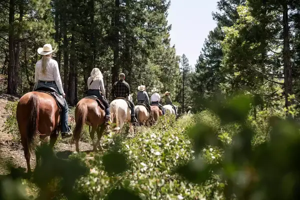 Group horse back riding