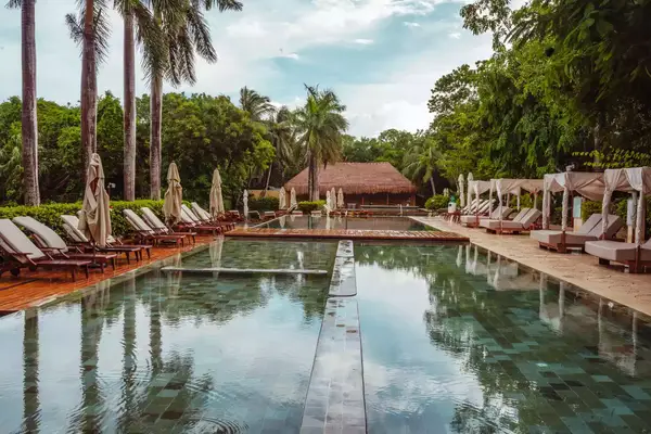 Pool surrounded by jungle