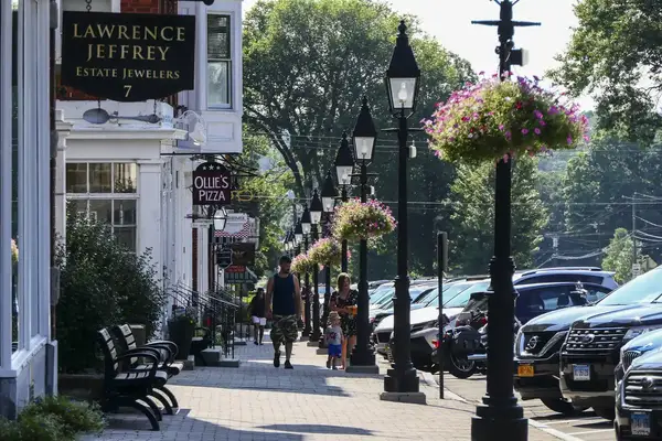 A commercial street with people walking, shop signs, and hanging flowers