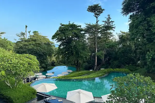 A luxury outdoor pool surrounded by trees and sun umbrellas at a resort