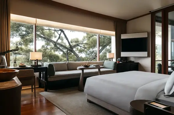 Modern hotel room with large windows and a view of trees