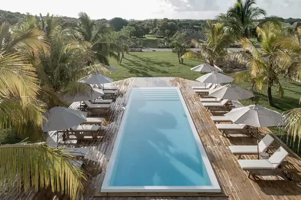 Rectangular pool surrounded by palm trees and lounge chairs, tropical setting