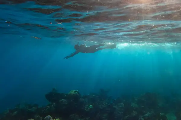 A person swimming underwater near a coral reef, with sunlight streaming down from the surface