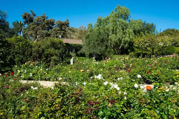 The gardens at San Ysidro Ranch