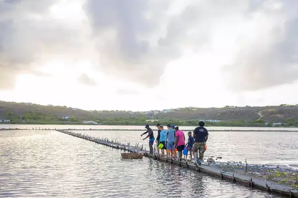 Salt Harvesting at the Four Season Resort and Residences Anguilla