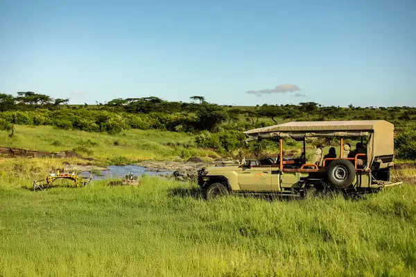Safari vehicle parked on grass near a water feature situated in an open African plain