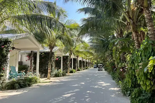 A line of bungalows at Bungalows Key Largo resort
