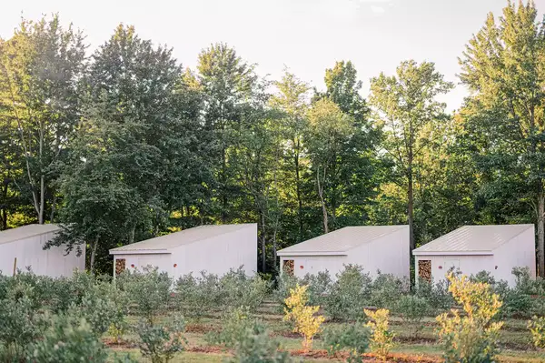 The Fields of Michigan