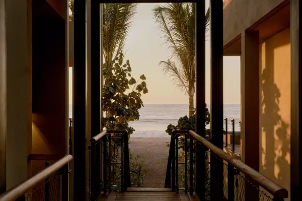 Walkway leading to a beachfront view framed by tall palm trees and adjacent walls