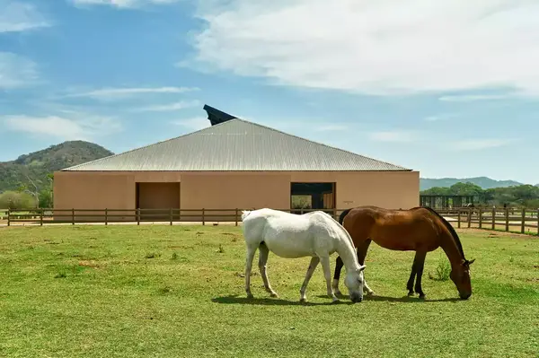 Two horses grazing in front of a barn at an equestrian center, with hills in the background