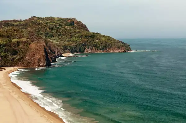 Coastal landscape with a sandy beach and a forested cliff