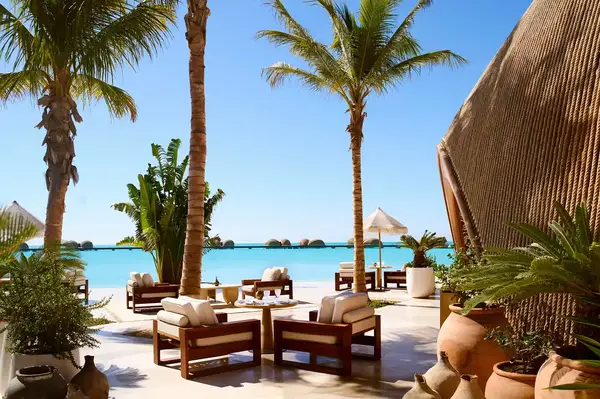 Outdoor seating area overlooking a body of water with palm trees and lounge chairs