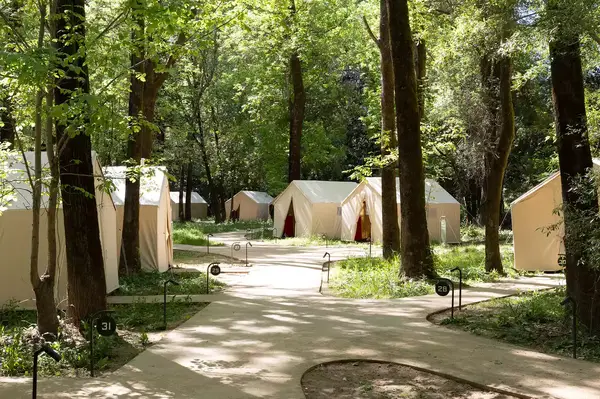 An outdoor area with multiple tents surrounded by trees and paths