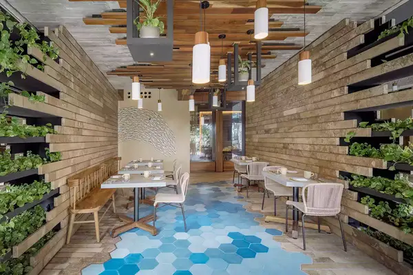 Estero at La Casa de la Playa