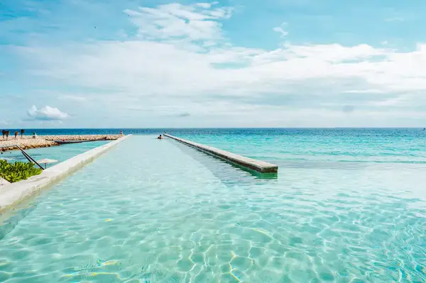 Infinity pool at La Casa de la Playa 