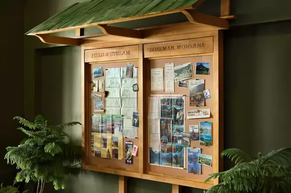 A bulletin board displaying maps, brochures, and announcements, surrounded by indoor plants, labeled Field & Stream Bozeman, Montana