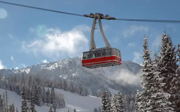 Snowbird Resort