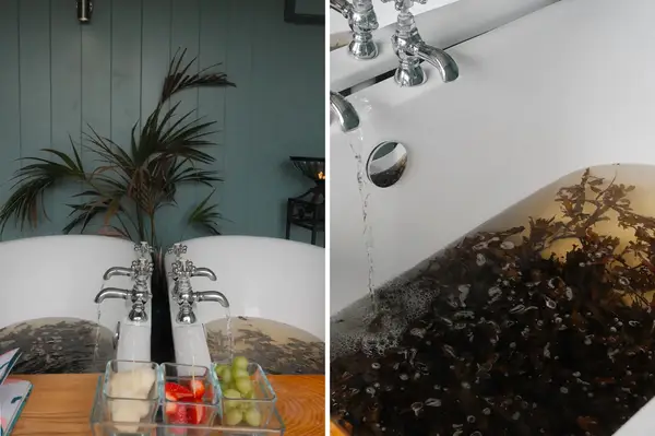 Two bathtubs filled with water and seaweed with a table of fresh ingredients in front of the tubs