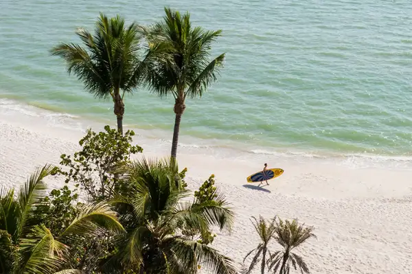 Person walking on sandy beach holding a surfboard, palm trees by the shore