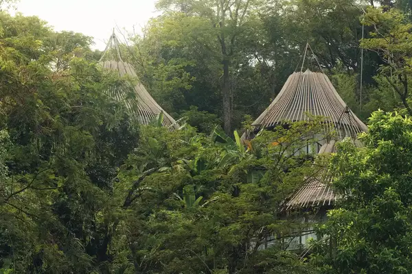 Exterior view of Keemala Tree Pool House
