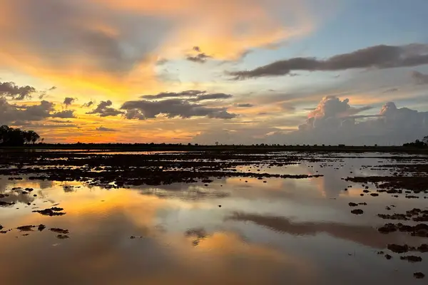 Sunset on the water landscape of Cambodia