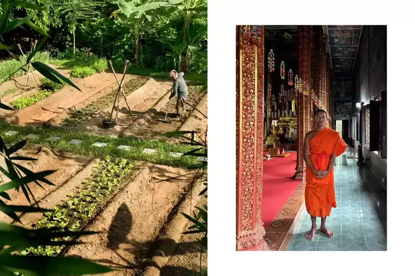 Village farm worker tending to fields and a monk in a temple in Cambodia near Amansara