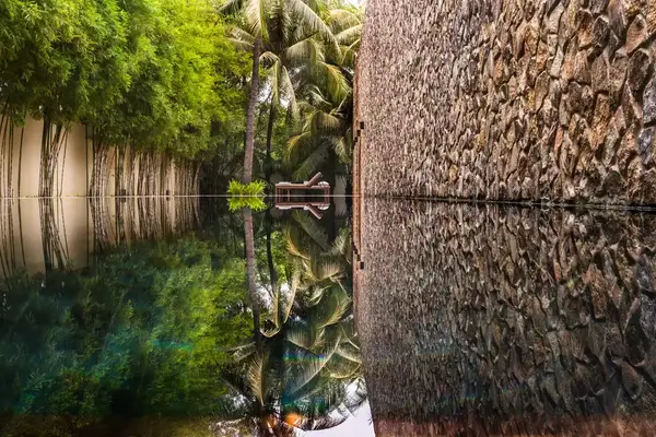 Lap Reflection Swimming pool at with palm trees and lounge chairs Amansara