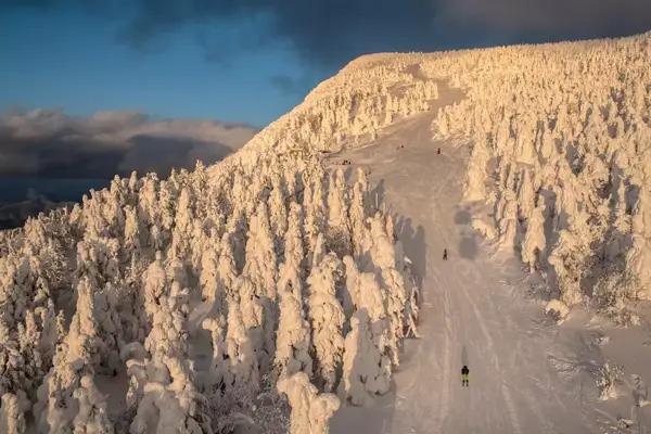 People skiing down a course in Zao, Japan