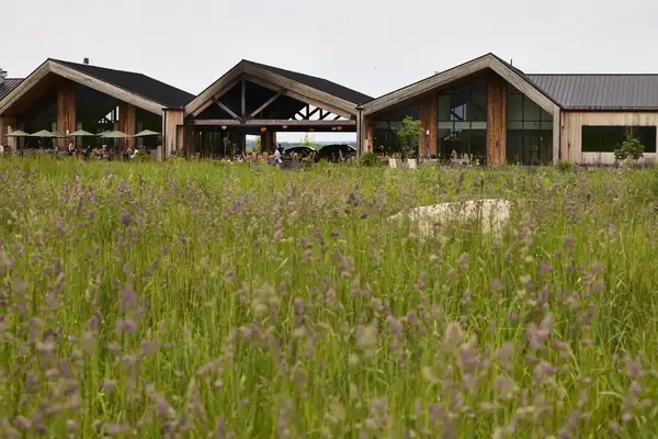 Main building of Wildflower Farms with a foreground of tall grass