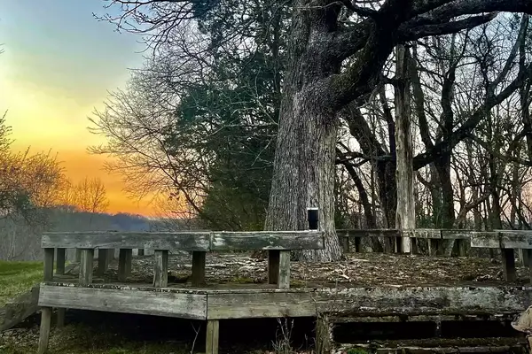 Building a treehouse at The Sanctuary Treehouse Resort