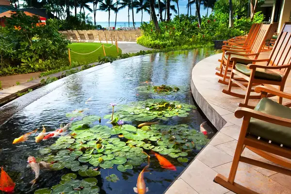 Pond at Sheraton Waikiki