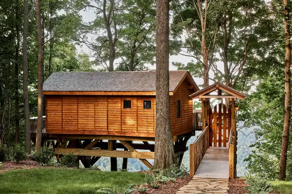 Treehouse lodging with a wooden bridge leading to the entrance located in a forested area