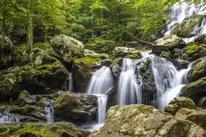 Dark Hollow Falls in Shenandoah National Park, Virginia, USA 