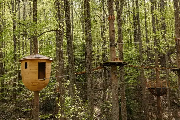A treehouse with platforms and ropes among trees in a forest part of an aerial adventure course