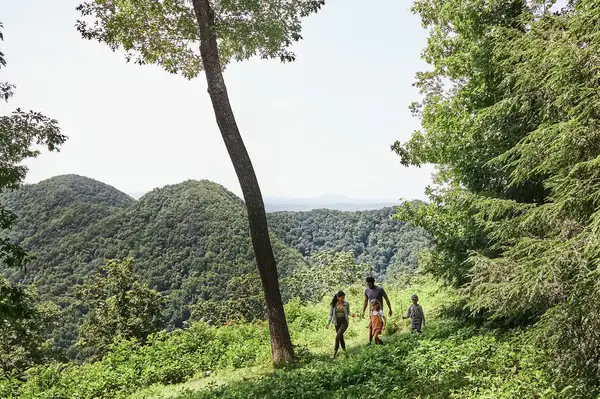 A group of people hiking along a lush trail with scenic mountain views
