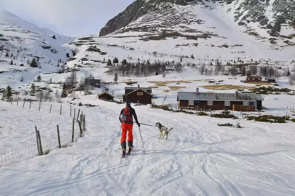 Person cross-country skiing with a dog on a leash in Hemsedal, Norway.