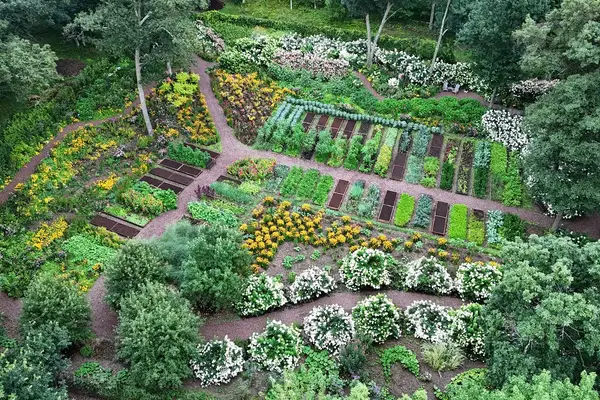 An aerial view of a garden featuring a variety of flowers plants and arranged plots