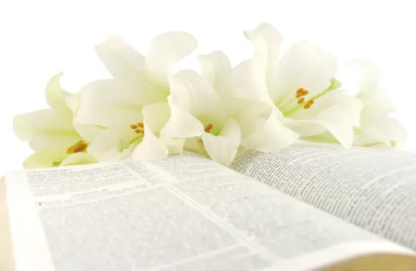 bible with easter lilies