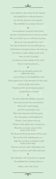 psalm 1181 9 and 19 29